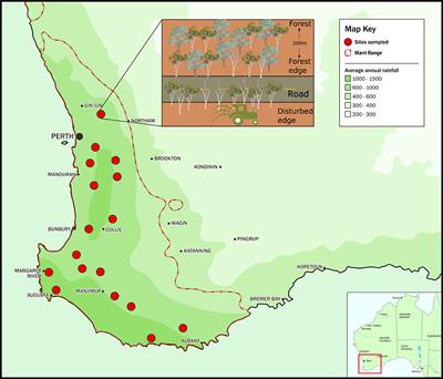 Anthropogenic Disturbance Impacts Mycorrhizal Communities and Abiotic Soil Properties: Implications for an Endemic Forest Disease